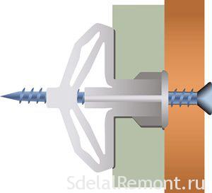 Ластовица Ластовица
